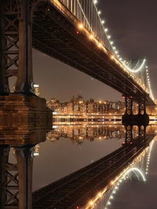 Meet your Posher, Dalia